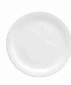 Assiette 10 1/2 blanche delco