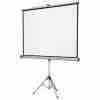 Écran Da-Lite 8’ X 8’ avec housse protection